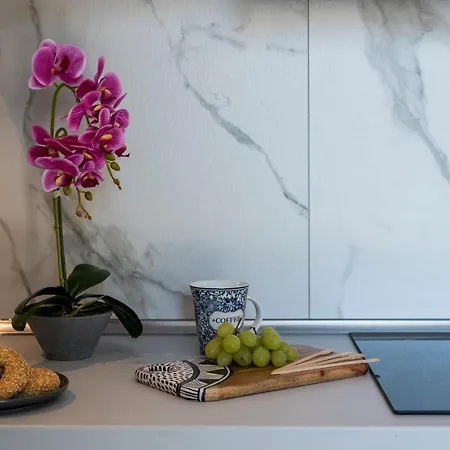 Ploumis Seaside Appart hôtel Stavros (Thessaloniki)